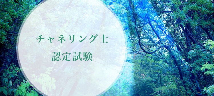 チャネリング士